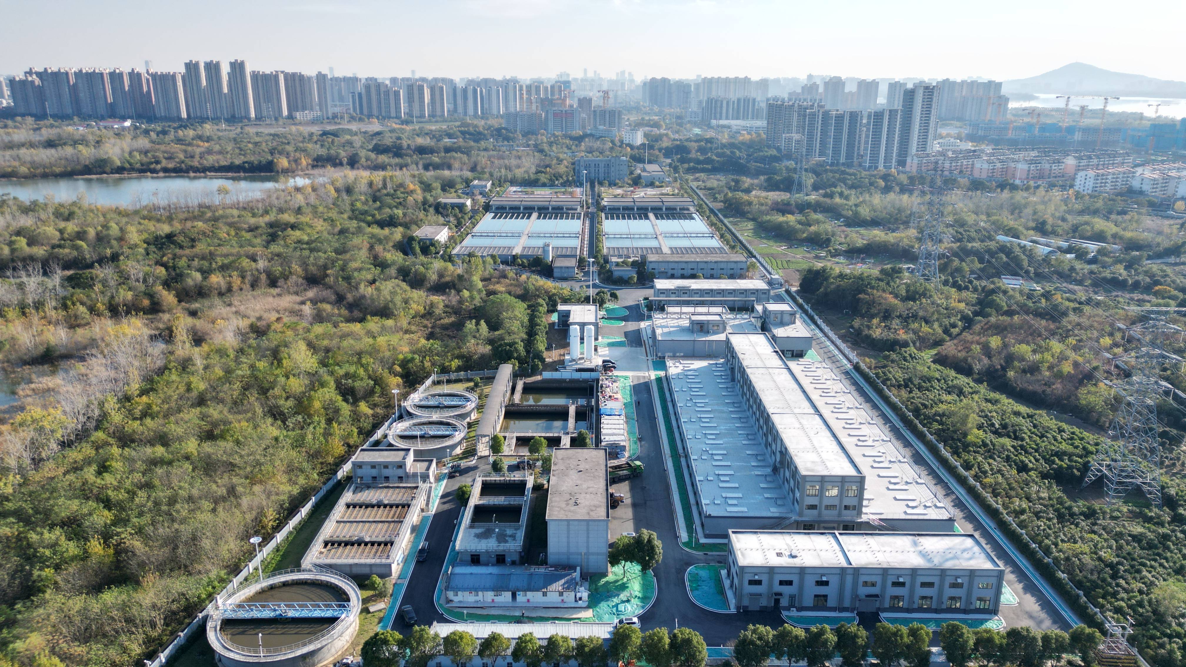 杭州市合肥专业企业价值增长(合肥市重点企业产业目录)